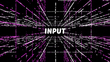 Poster - Futuristic Data Stream with the Word Input Featuring Pink and White Glowing Lines black background