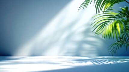 Poster - A minimalist scene with soft natural light casting palm leaf shadows on a smooth, light blue surface and wall.