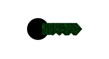 Poster - Digital security key with binary code for cybersecurity design vector illustration