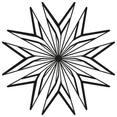 Poster - Starburst abstract pattern. Radial spiky lines. Geometric bloom illustration. Vector unique design.