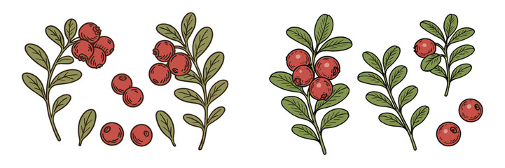 Poster - Illustration of ripe berries on branches with green leaves in a natural setting during daylight