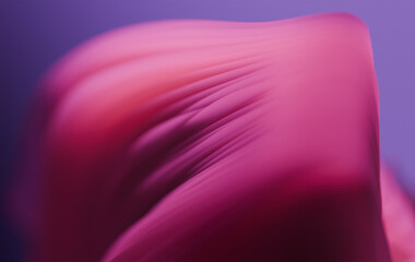 Poster - Soft Abstract Flow of Vibrant Pink Gradient with Smooth Purple Backdrop