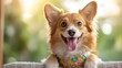 © svastix - A cheerful corgi dog displays a bright, joyous smile while lounging comfortably, conveying a sense of happiness and warmth that pet lovers can truly relate to.