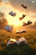© NF - open book on sunset background
