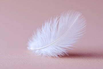 Poster - solitary white feather gently resting on smooth neutral background creates peaceful atmosphere