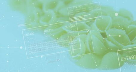  - Translucent panel fading in over coral cluster, panels sliding, updating readouts to visualize data