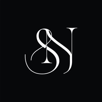 Initial letter SN logo design 