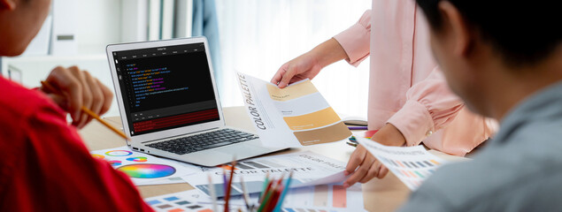 Software development programming on computer screen for brisk application and program coding