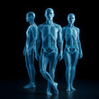 © DIGADO - Human Skeletons and Bodies  Medical X-Ray Vision. Digital Anatomy Study. Transparent Human Body with Skeleton
