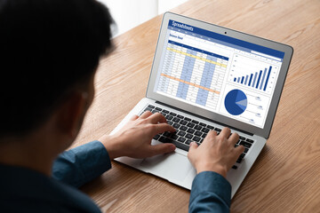 Poster - Spreadsheet document information financial startup concept. data and graphs in spreadsheet documents for online analysis project dashboard accounting digital snugly