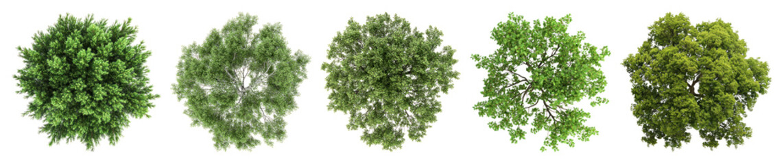 PNG Lush green tree tops view, element set on transparent background