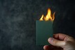 © Syarifuddin - Hand holding a burning green card (1)
