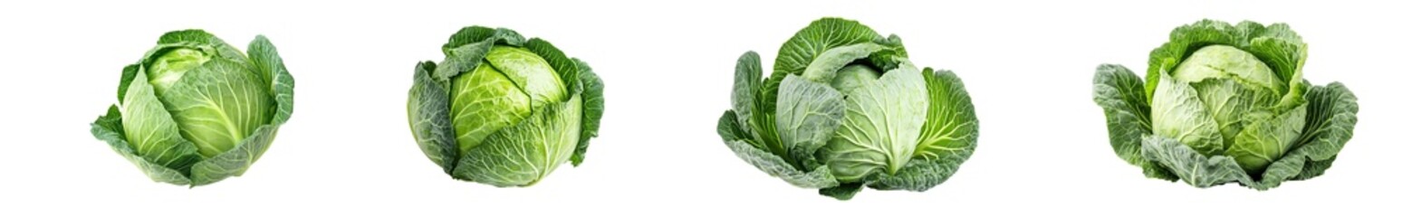 Poster - set of cabbages isolated on transparent background