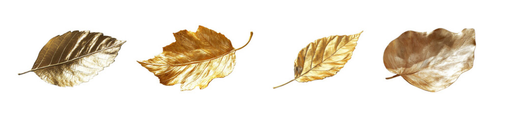 Fototapete - set of golden leave isolated on transparent background