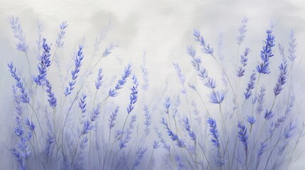 Poster - Delicate lavender blossoms in a soft, light pastel watercolor style.