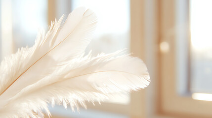 Aufkleber - A close-up of elegant white feathers gently illuminated by soft sunlight, creating a serene and calming atmosphere in a cozy room.