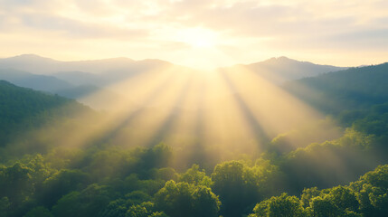 Poster - A serene landscape where sunlight filters through trees, illuminating the lush green forest and distant mountains.