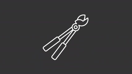 Poster - Animated garden secateurs white line icon. Moving bypass loppers animation. Clicking instrument, cutting. Professional, agriculture. Isolated element on dark background. Alpha transparent video