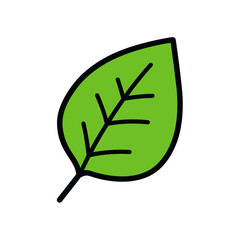 Poster - Green leaf depicts veins in simple white background icon illustration