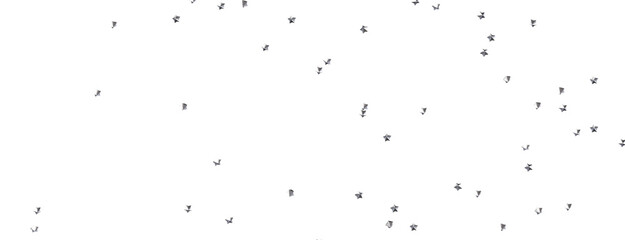 Poster - Stars - Holiday golden decoration, glitter frame isolated -