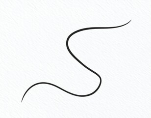 Poster - Simple Black S Curve Line Drawing