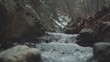 © Alfariha - A tranquil stream flows between dark rocks and leaf-covered banks in a misty, wooded ravine