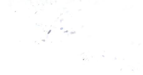 Poster - Abstract white background with light gray particles floating. Perfect for overlay or design element.
