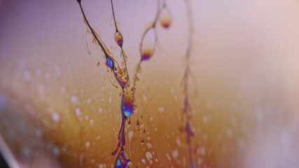 Fototapete - Phenomenal structure of liquid, a clear physical property of liquid, the fall of drops on the surface of a liquid