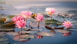 serene pink lotus flowers in a calm pond nature s tranquility