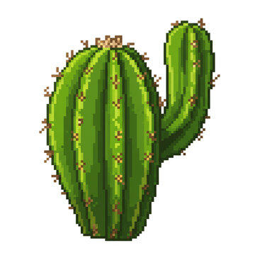 Pixelated Green Cactus Plant Isolated on Transparent Background Illustration