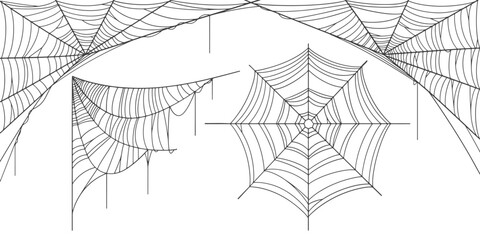Wall Mural - set of spider web vector illustration