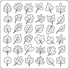 Fototapete - A Variety of Leaf Outlines Depicted in a Grid Formation Offering Versatile Design Elements for Autumnal Themes and Educational Resources
