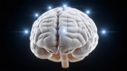 Aufkleber - Illuminated Brain: A detailed anatomical model of a human brain is shown against a black backdrop, illuminated with glowing points of light, suggesting intelligence, creativity and brainpower.