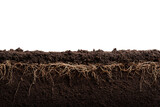 Cross section of soil showing roots and texture.