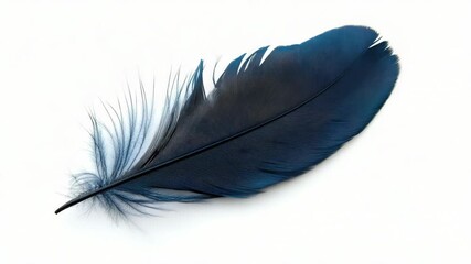 Poster - A single blue feather lies flat on a white surface