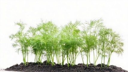 Poster - Fresh vegetation emerging from the earth
