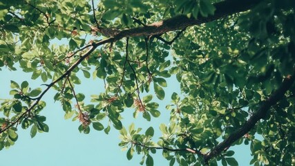Poster - A bird sits comfortably on a branch of a tree, enjoying the surroundings