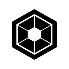 Poster - White Hexagon Structure on Black Background with Connected Lines, Geometric Pattern