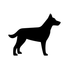 Poster - Silhouette of a canine standing with pointed ears and short tail in a simple graphic format