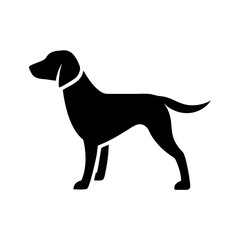 Poster - Silhouette of a canine standing with a collar and a short tail on a white background design element