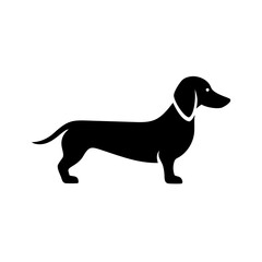 Poster - Silhouette graphic of a dachshund standing with a collar on a white background design style image