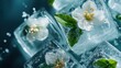 © svastix - This mesmerizing image features ice cubes encapsulating delicate white flowers and green leaves, showcasing a stunning blend of nature and chill for refreshing aesthetics.