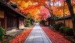 © bethko. - 紅葉のトンネルと京都の小道