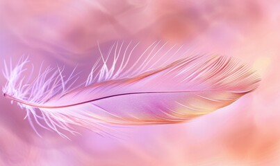 Poster - Single feather on soft gradient background creates ethereal abstract art