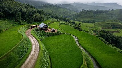 Poster - Aerial View of Lush Green Rice Terraces and Winding Path in a Rural Mountainous Landscape