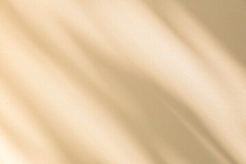 Poster - Wall interior background, studio and backdrops show products. with leaf shadow from window color beige and white. background for text insertion and presentation of product	
