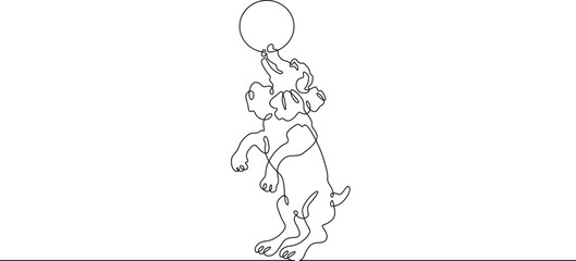 Poster - Continuous one line drawing trained dog. The dog performs in the circus. Circus..One continuous line isolated minimal illustration.Not AI.