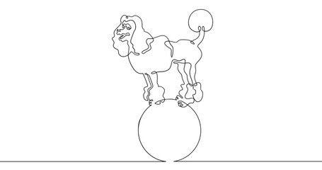 Poster - Continuous one line drawing trained dog. The dog performs in the circus. Circus..One continuous line isolated minimal illustration.Not AI.