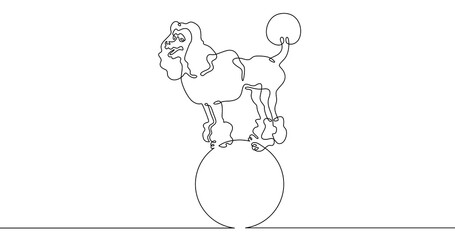 Poster - Continuous one line drawing trained dog. The dog performs in the circus. Circus..One continuous line isolated minimal illustration.Not AI.