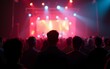 © li - silhouette of guys - crowd - at the concert. High quality